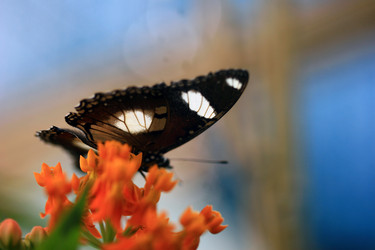 Similar image 7975775