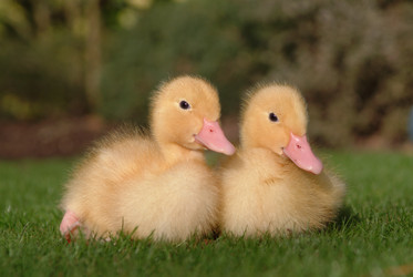 Similar image 7975784