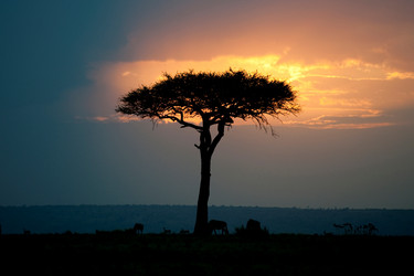 Similar image 7975788