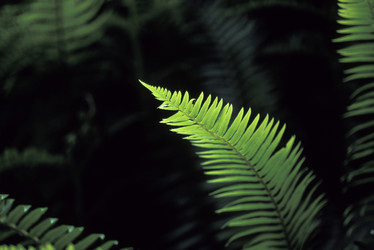 Similar image 7975806