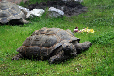 Similar image 7975814