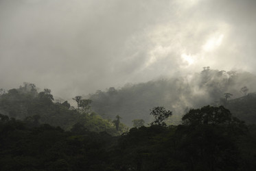 Similar image 7975817