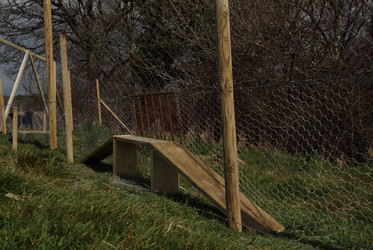 Similar image 7975836