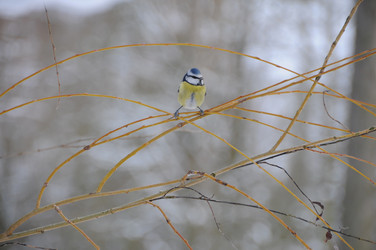 Similar image 7975845