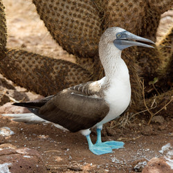 Similar image 7975854