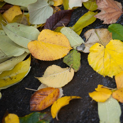 Similar image 7975857