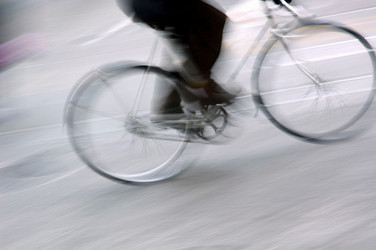 Similar image 7975859