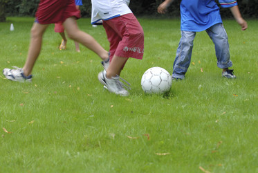 Similar image 7975863