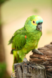 Similar image 7975866