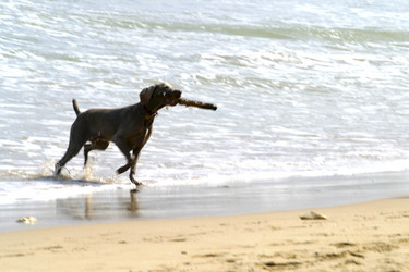 Similar image 7975867