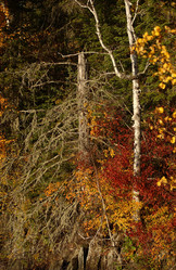 Similar image 7975874