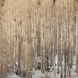 Similar image 7975877