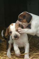 Similar image 7975879