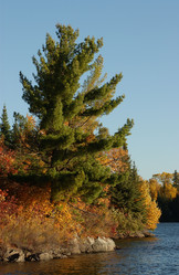 Similar image 7975880