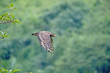 Similar image 7975899