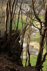 Similar image 7975900