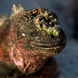 Similar image 7975908