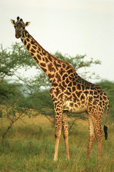 Similar image 7975911