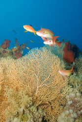 Similar image 7975914