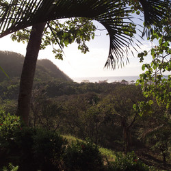 Similar image 7975917