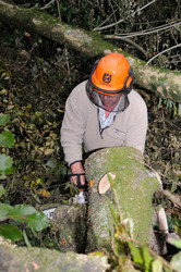 Similar image 7975918