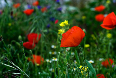 Similar image 7975919