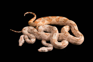 Similar image 7975952