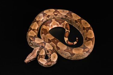 Similar image 7975956