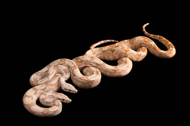 Similar image 7975964