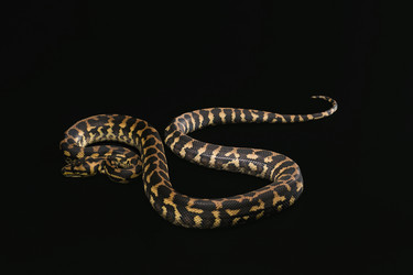 Similar image 7975983