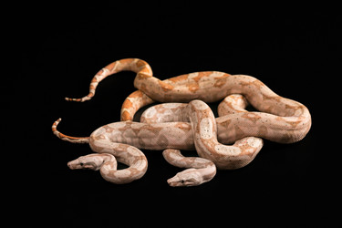 Similar image 7975986