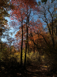 Similar image 7975996