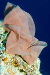 Similar image 7975998