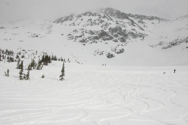 Similar image 7976003