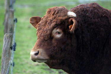 Similar image 7976013