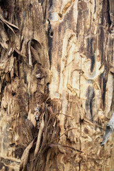 Similar image 7976018