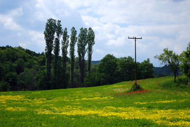 Similar image 7976020