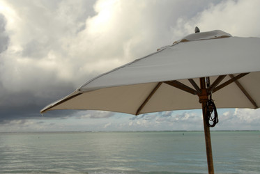 Similar image 7976028