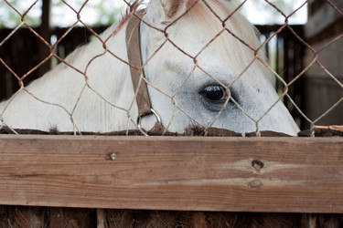 Similar image 7976030