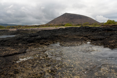 Similar image 7976032