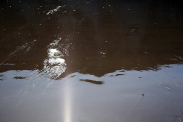 Similar image 7976034