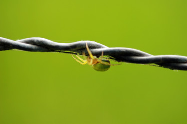 Similar image 7976036