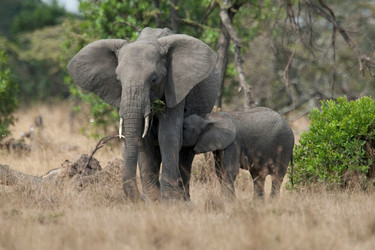 Similar image 7976038