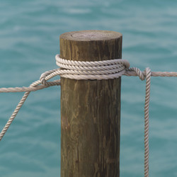 Similar image 7976040