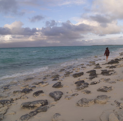 Similar image 7976044