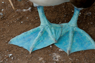 Similar image 7976045