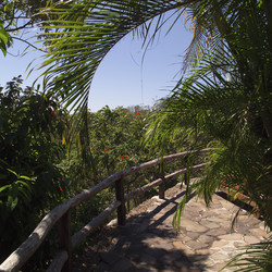 Similar image 7976051