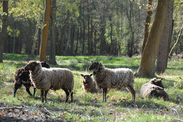 Similar image 7976052