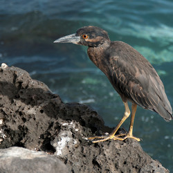 Similar image 7976053