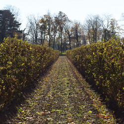 Similar image 7976057